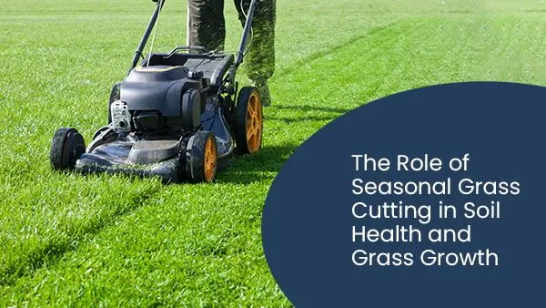 The-Role-of-Seasonal-Grass-Cutting-in-Soil-Health-and-Grass-Growth-min-1920w